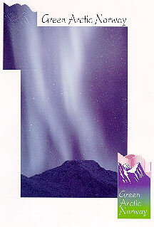 Green Arctic logo
